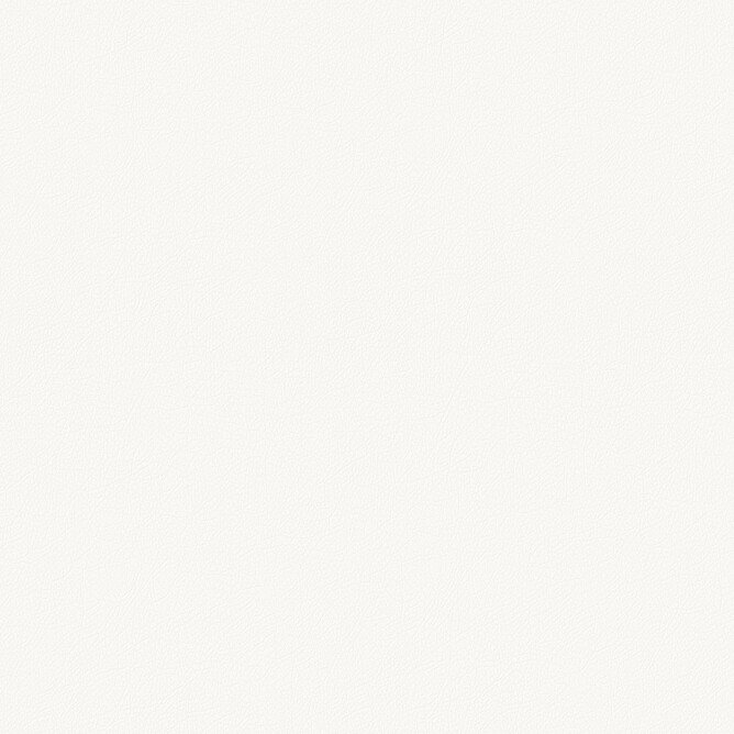 D.710 Белый Яркий NAPPA